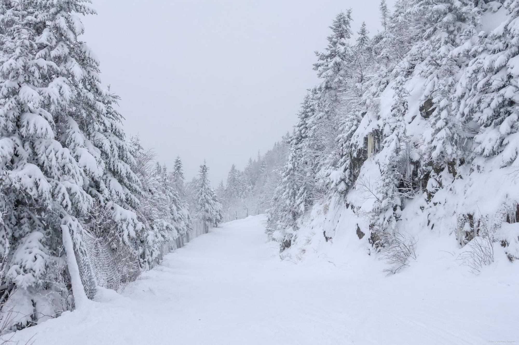 O'Berge Du Village C304 - Bord De L'Eau Magog ภายนอก รูปภาพ