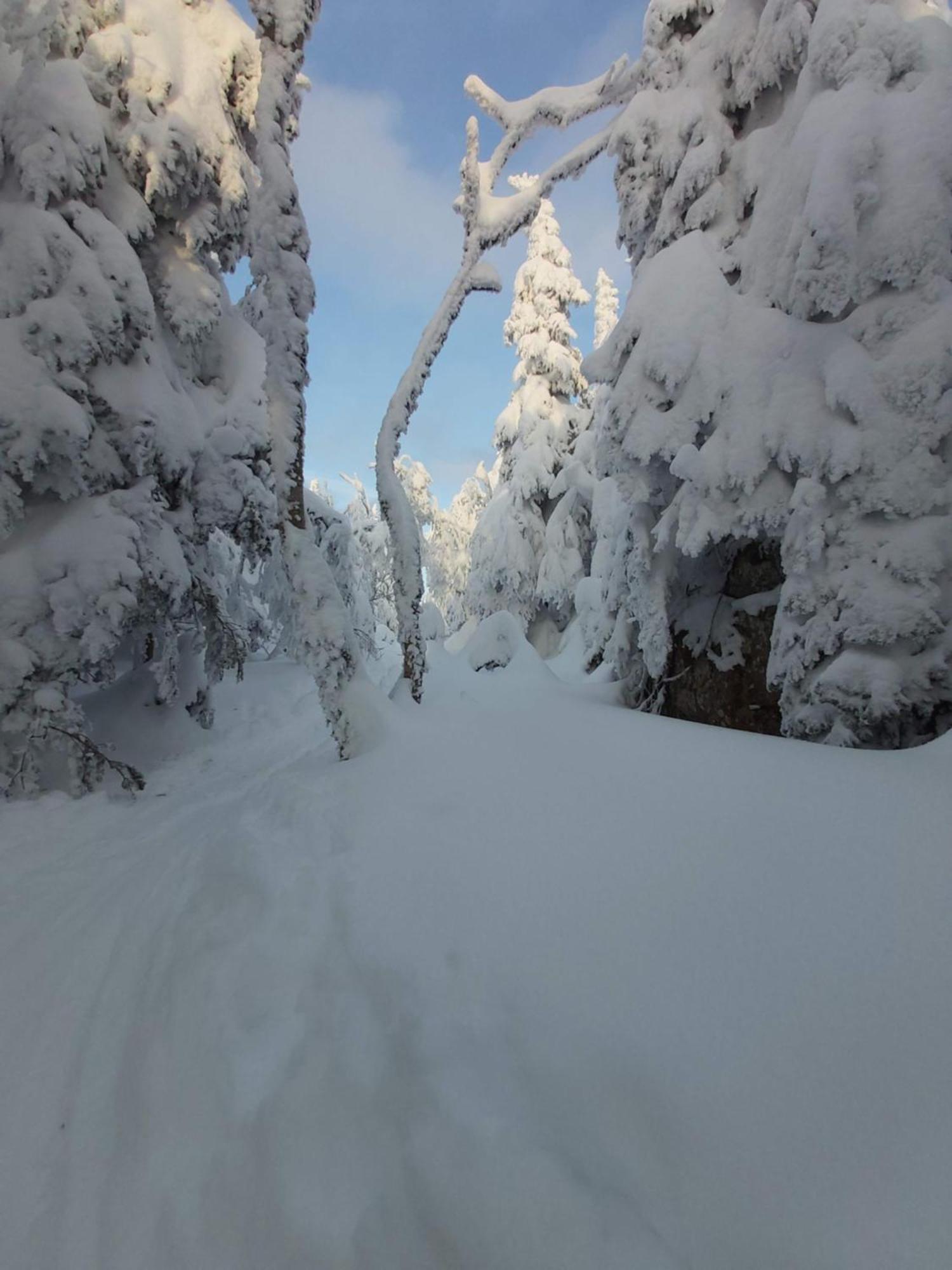 O'Berge Du Village C304 - Bord De L'Eau Magog ภายนอก รูปภาพ